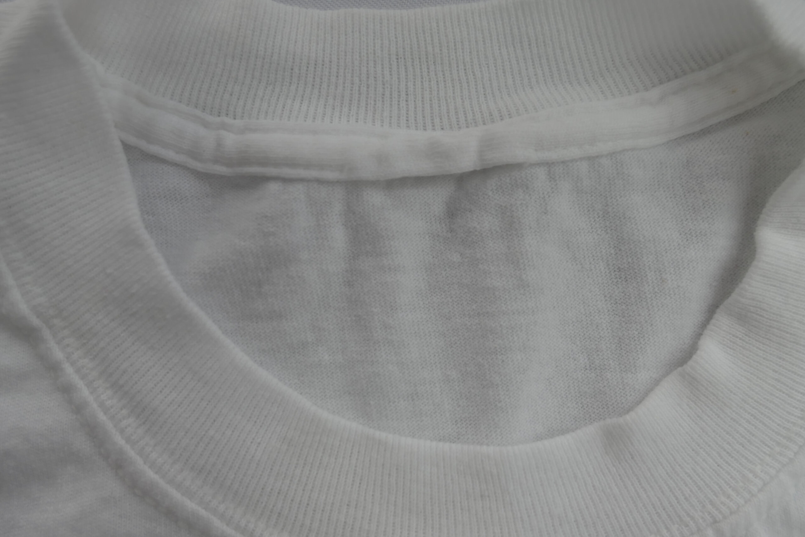 P1020192-scaled-1.jpg