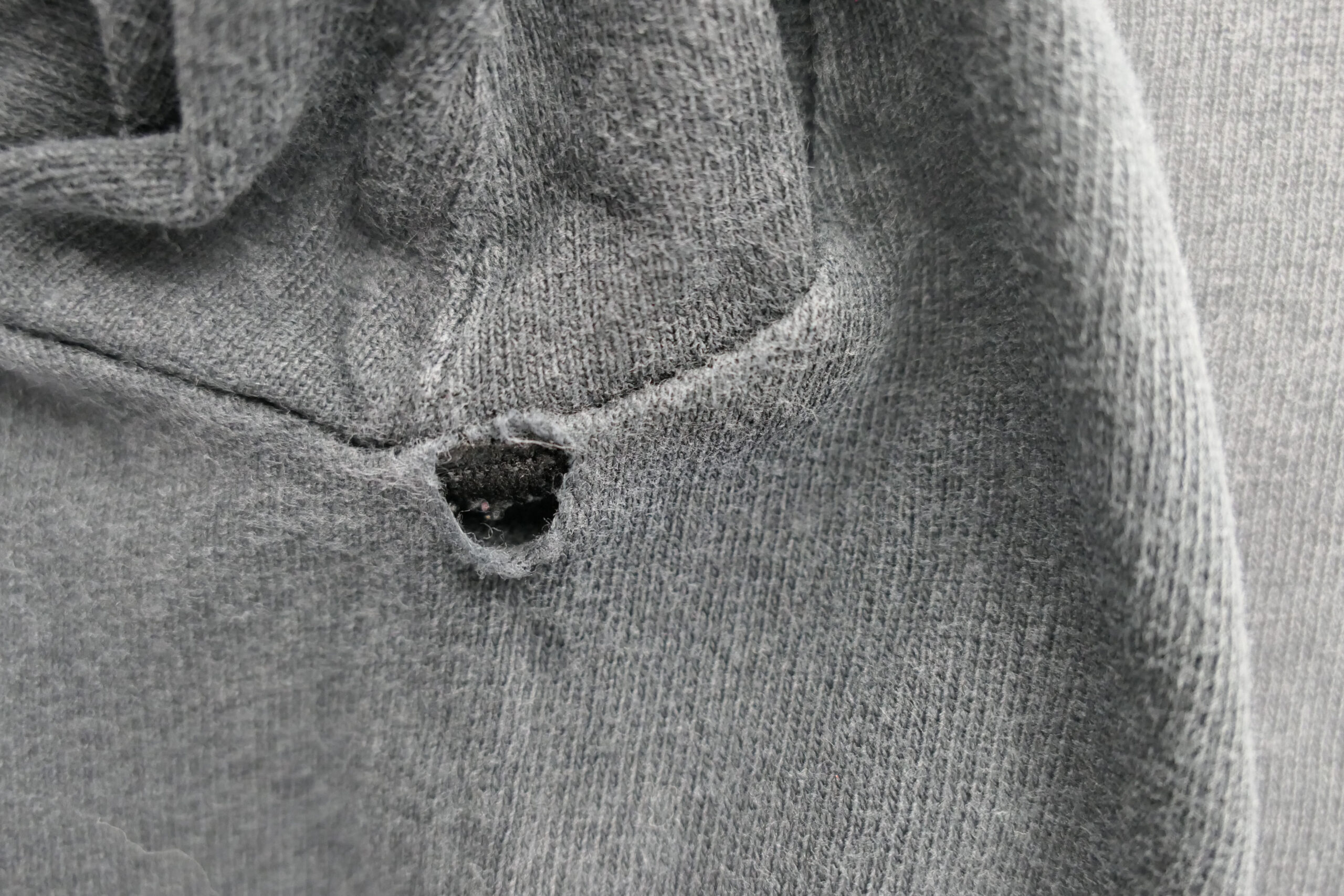 P1030264-scaled-1.jpg