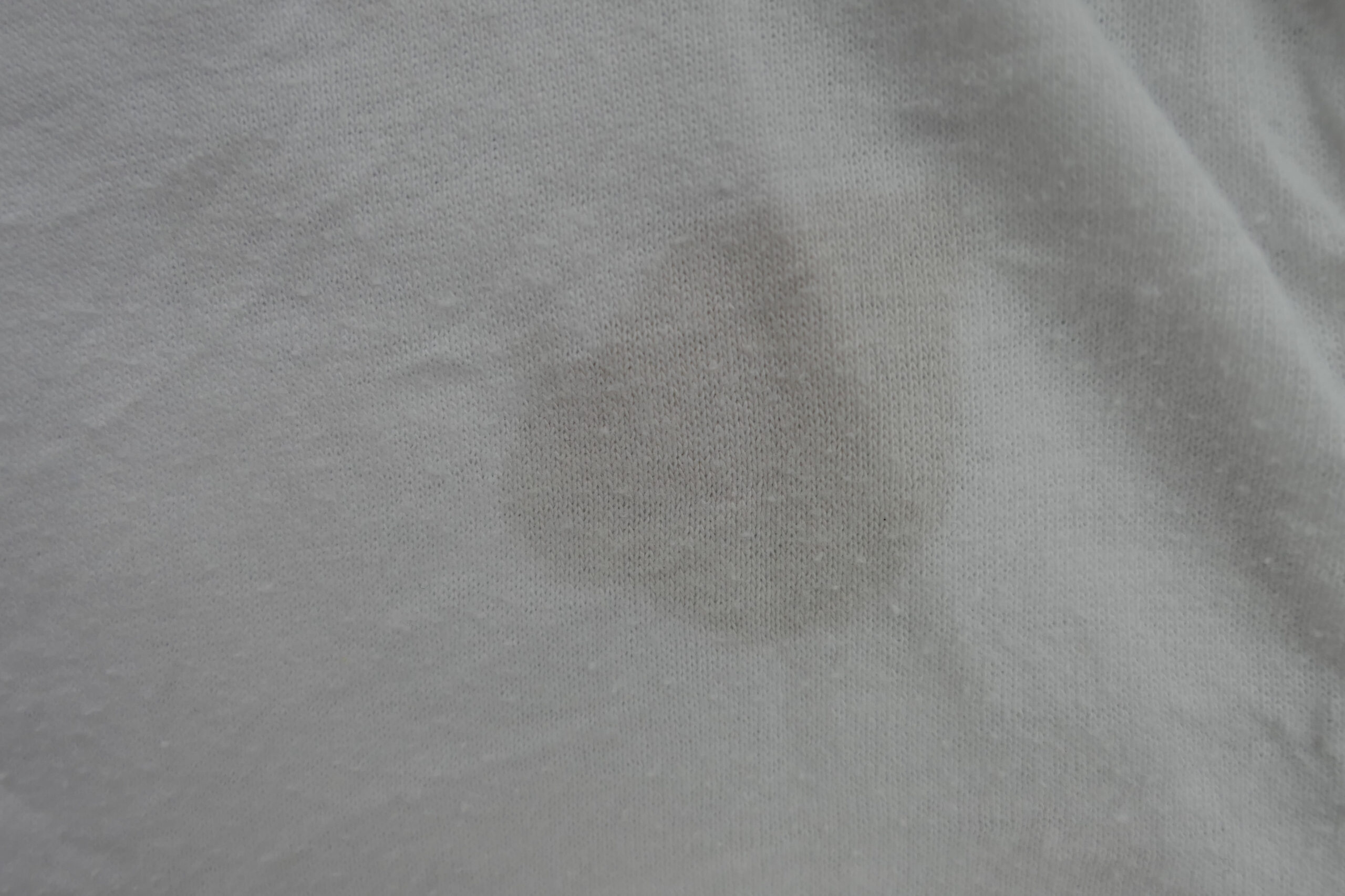 P1030293-scaled-1.jpg