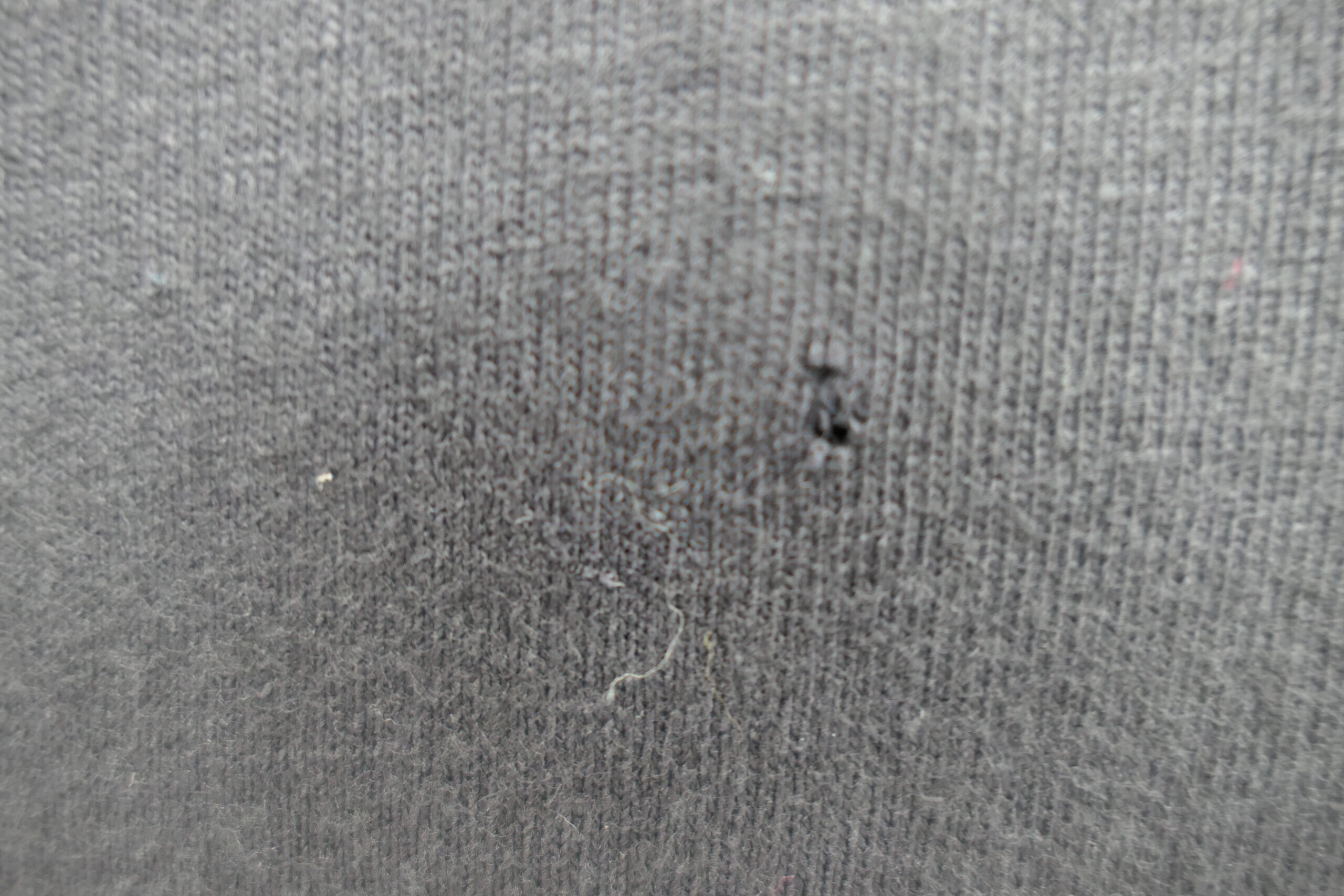 P1030353-scaled-1.jpg
