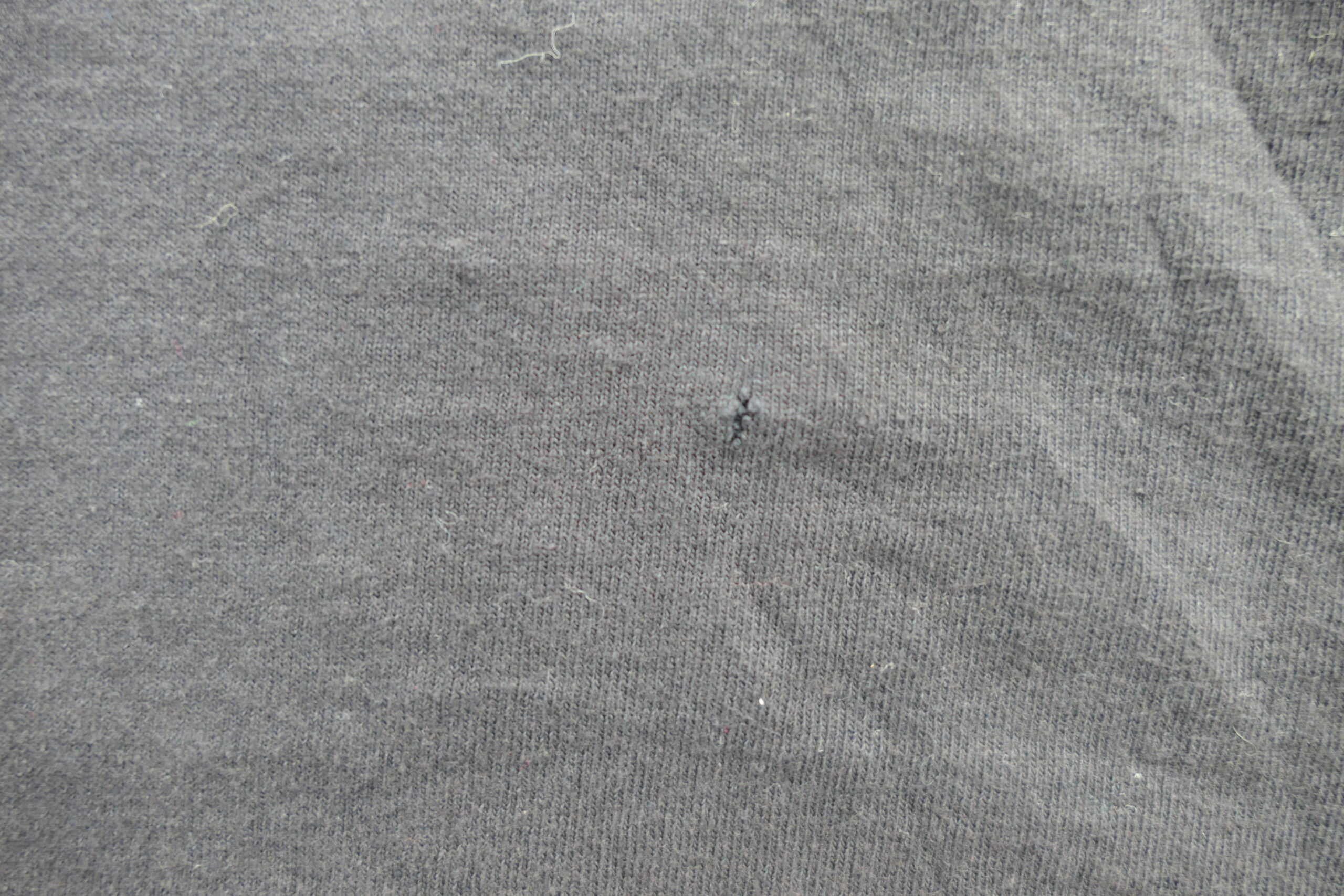 P1050452-scaled-1.jpg